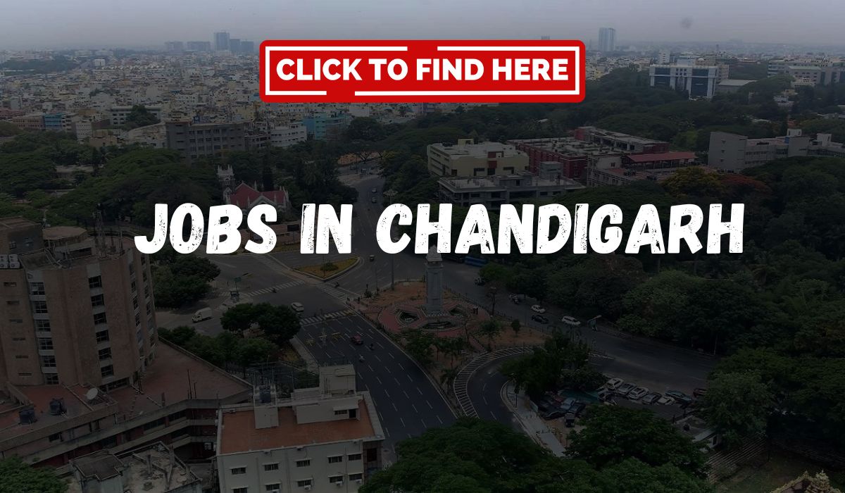 Best Jobs in Chandigarh