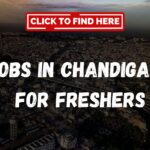 Jobs in Chandigarh for Freshers