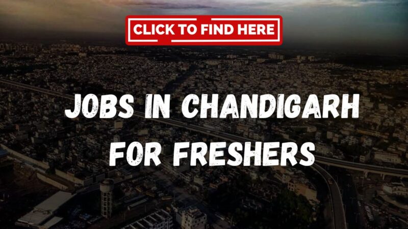 Jobs in Chandigarh for Freshers