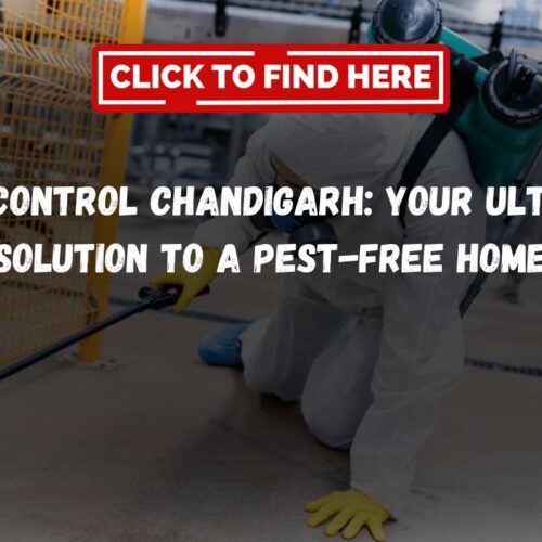 Pest Control Chandigarh