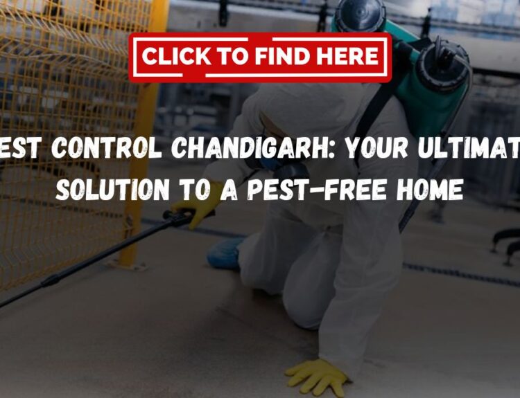 Pest Control Chandigarh