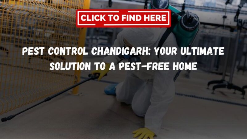 Pest Control Chandigarh