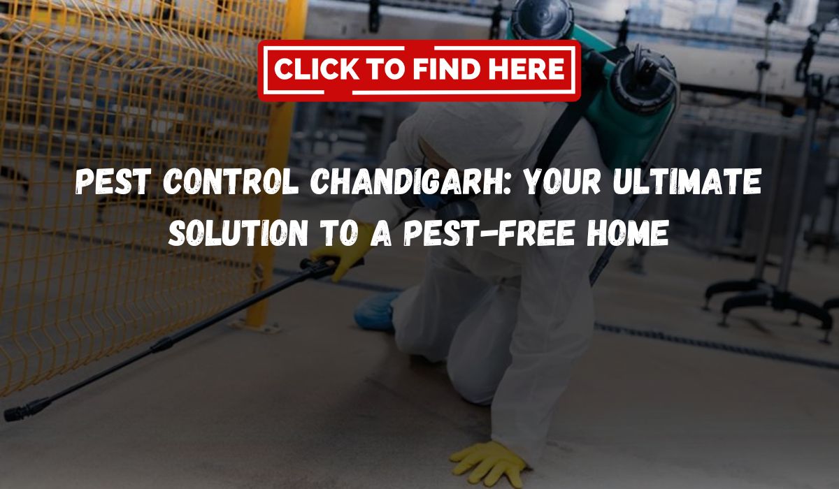 Pest Control Chandigarh