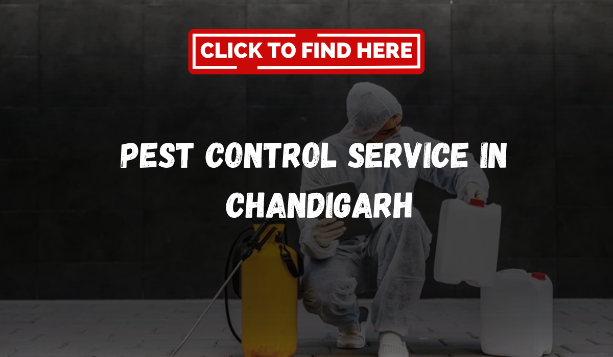 Pest Control Service In 
Chandigarh